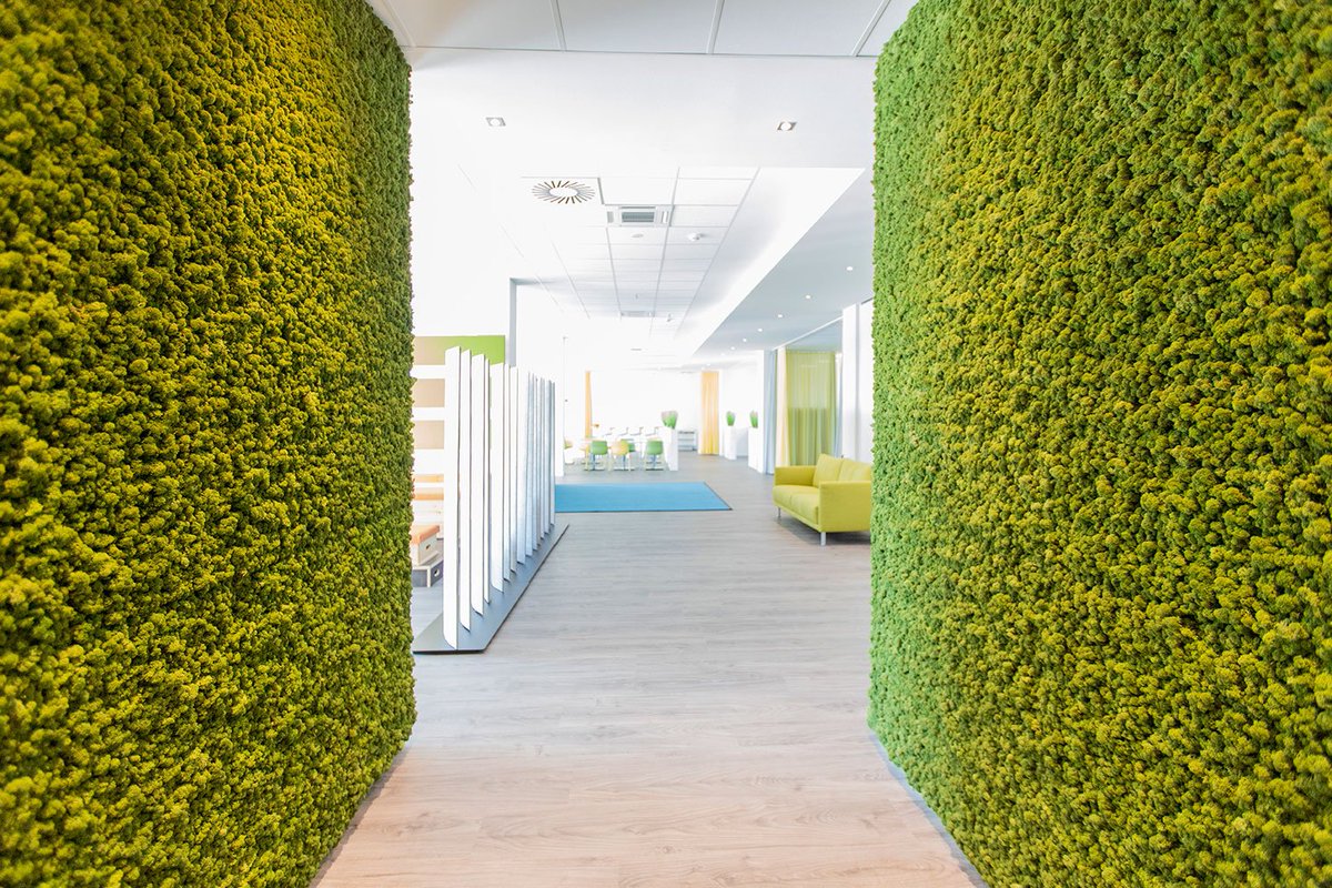 TOPMOTIVE's tweet photo. Our highlight in the #newbuilding – affectionately called dancing hall. A place to work, learn, eat and exchange. Space for #creativity and #development. A common place to celebrate. We feel more than comfortable here. Who is going to visit us soon? 💙💚 #topmotive https://t.co/70INRrdmhz