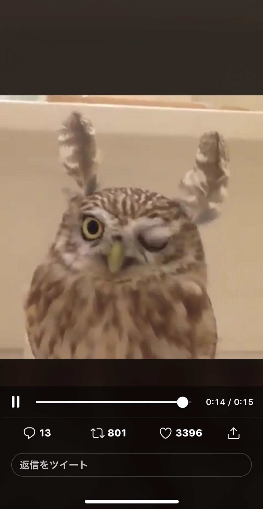 @minnano_iyashi ウインク(^_-) 