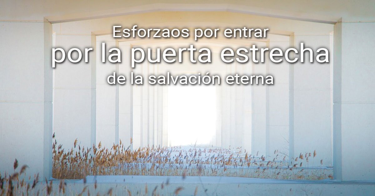 enmanueljtoro's tweet photo. 🇪🇸 Reflexión del día: Quién ha dicho que ser cristiano es fácil, quién ha dicho que el cristianismo se vive de una manera light?. Buscar la puerta estrecha, "trabajando como si todo dependiera de nosotros con la conciencia de que todo depende de Dios". Dios les bendiga. https://t.co/4SrjSw4yaq
