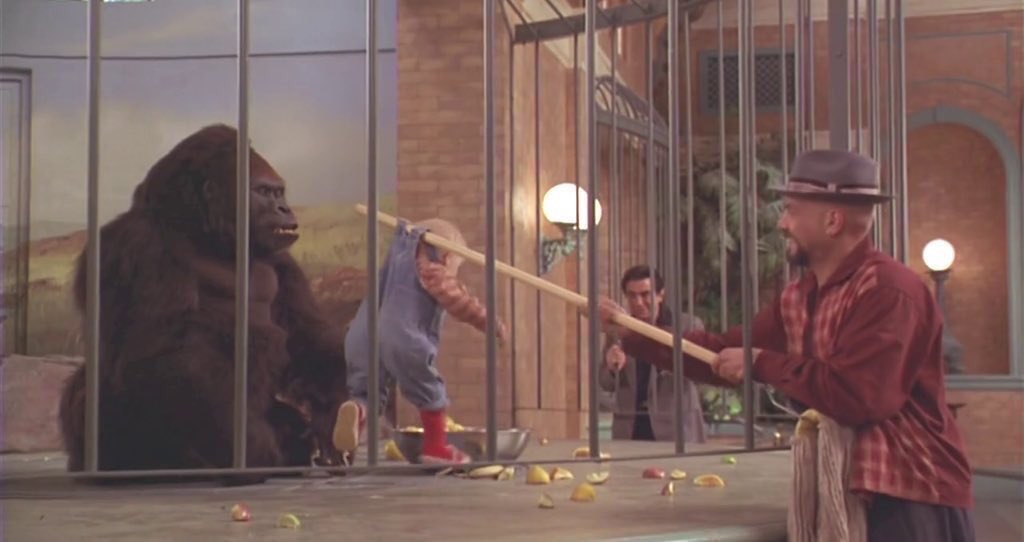 مين يتذكره 👼🏻 . 
بعض اللحظات للذكرى وبس 💛