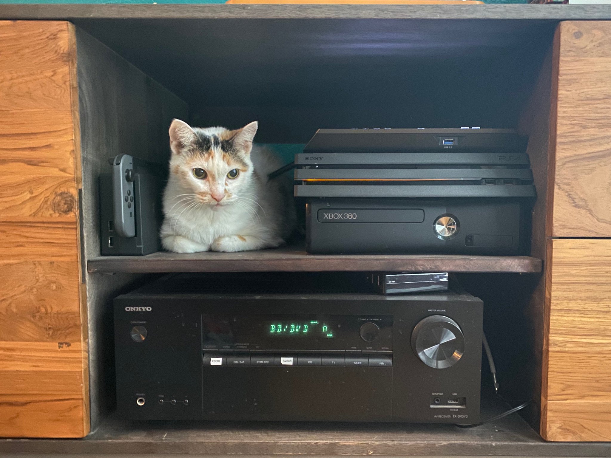 best av receiver wirecutter