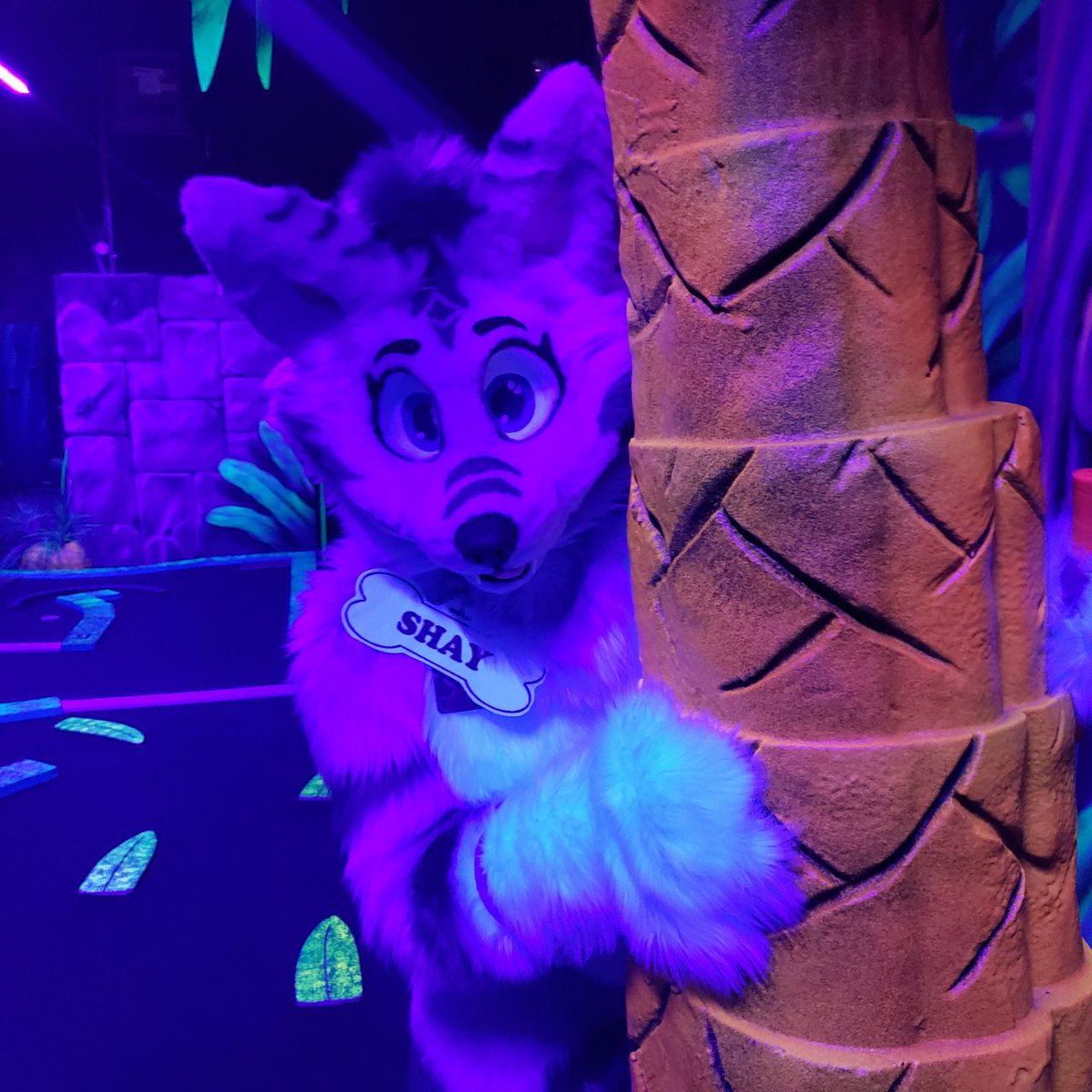 Floof_Furmeet's tweet photo. *P s s t*

Hey you, yes you Floofer!! . . . Shay is watching, so I gotta be quick . . . Come to Floof!! Glowzone and buy you tickets before Friday, she's gonna find you if you dont . . .

DO IT!

https://t.co/FfHe7AldQU https://t.co/HGUox1Rw0V