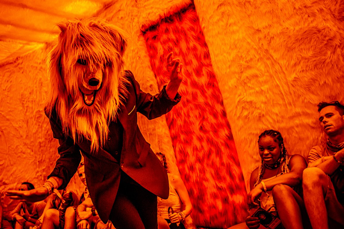 Electric_Forest's tweet photo. Werewolf? There wolf! ⚡🌲#ElectricForest https://t.co/iCQBYEaT4v