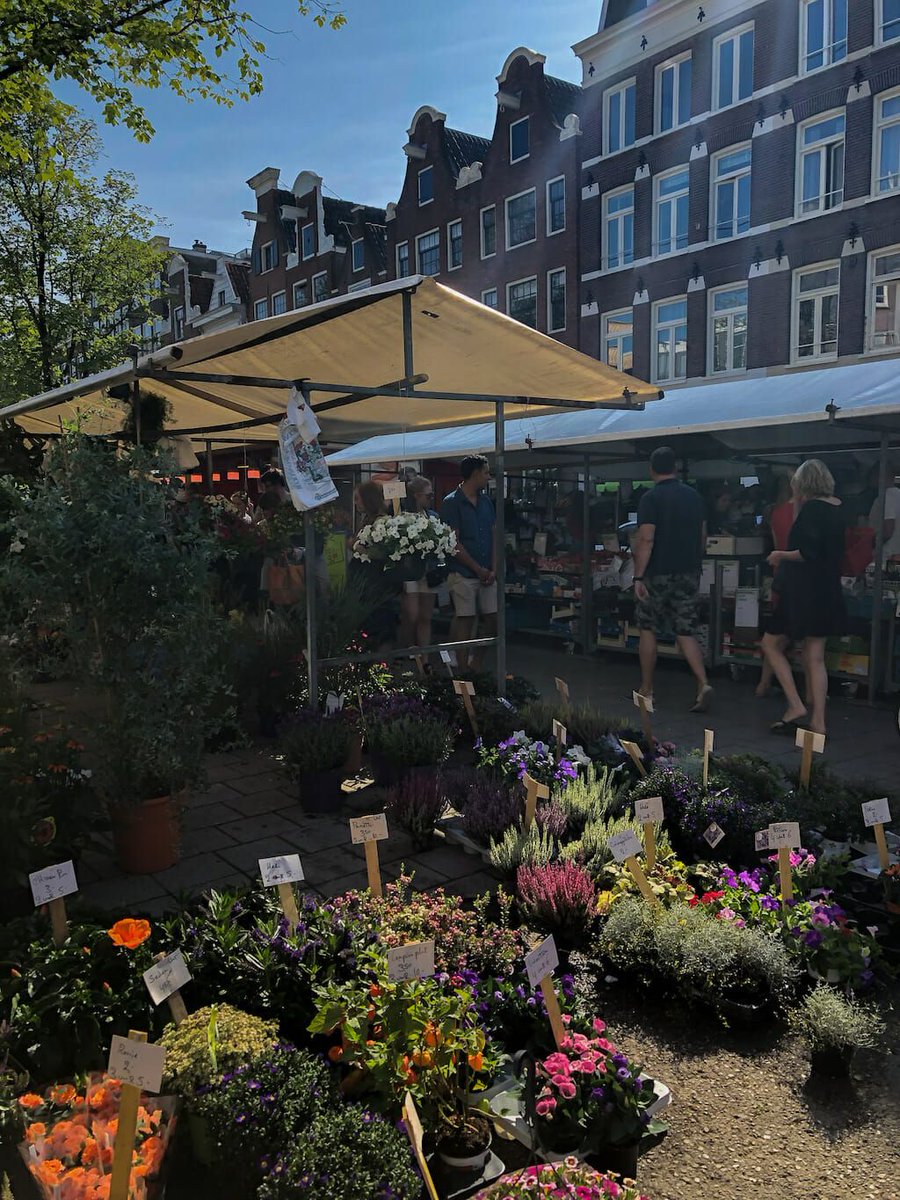 EuropeUpClose's tweet image. Discover what to do in Amsterdam for your next trip to the Netherlands. Explore the lively town at your leisure and find your passion in town #netherlands #amsterdam #traveltips #travel #traveleurope buff.ly/2otNVta via @europeupclose