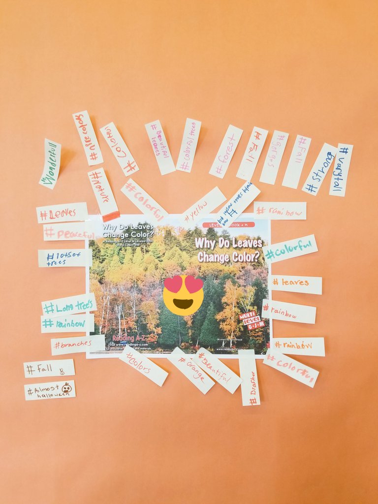Thaylotus's tweet photo. @pvdschools @asf_school @Thaylotus ELC students practicing language with a background building strategy called Hanging Hashtags.
#hanginghashtags #ellevations #ell #ellstrategies #maps #whydoleaveschangecolor #raz #readingatoz #buildbackground #TeachingIdeas #inspiredtoinspire https://t.co/1GizodWysl