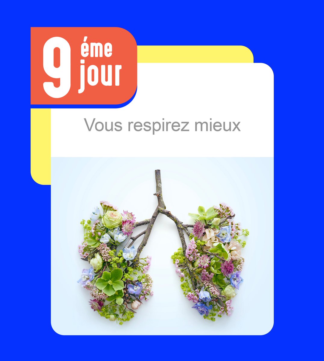 #MoisSansTabac (@mois_sans_tabac) on Twitter photo T'as de beaux poumons tu sais 😉 ? #MoisSansTabac T'as de beaux poumons tu sais 😉 ? #MoisSansTabac
