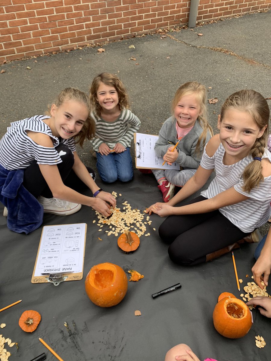 MrsShannonsCrew's tweet photo. We had so much fun investigating pumpkins with our 5th grade buddies. 🎃 @MrsMcEwan5 #WATWeDo #kindergarten https://t.co/PqO0qKjxih