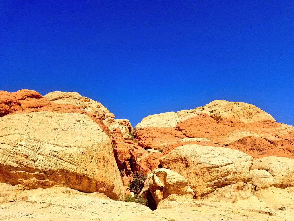 Must have #redrockcanyon on here as well. All the times I've been to #vegas who knew (apparently everyone but me) that this was right there?!! <a href="/MarathonPitStop/">#MarathonPitStop</a> (Oct 2019)