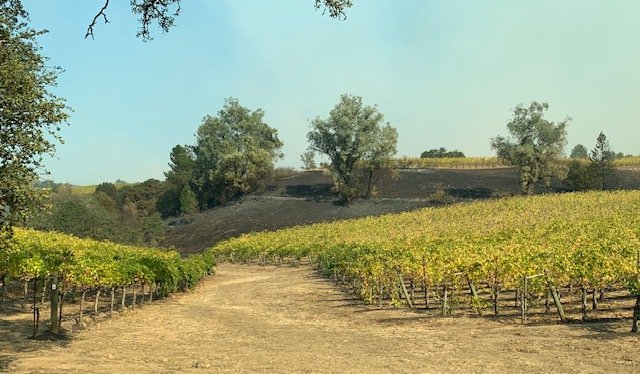 sonomasheriff's tweet photo. 10/30 9:00 AM UPDATE The #KincadeFire is 30% contained and has burned 76,825 acres. 
El incendio Kincade es 30% contenido y ha quemado 76,825 acres. https://t.co/7CDdDgNjay