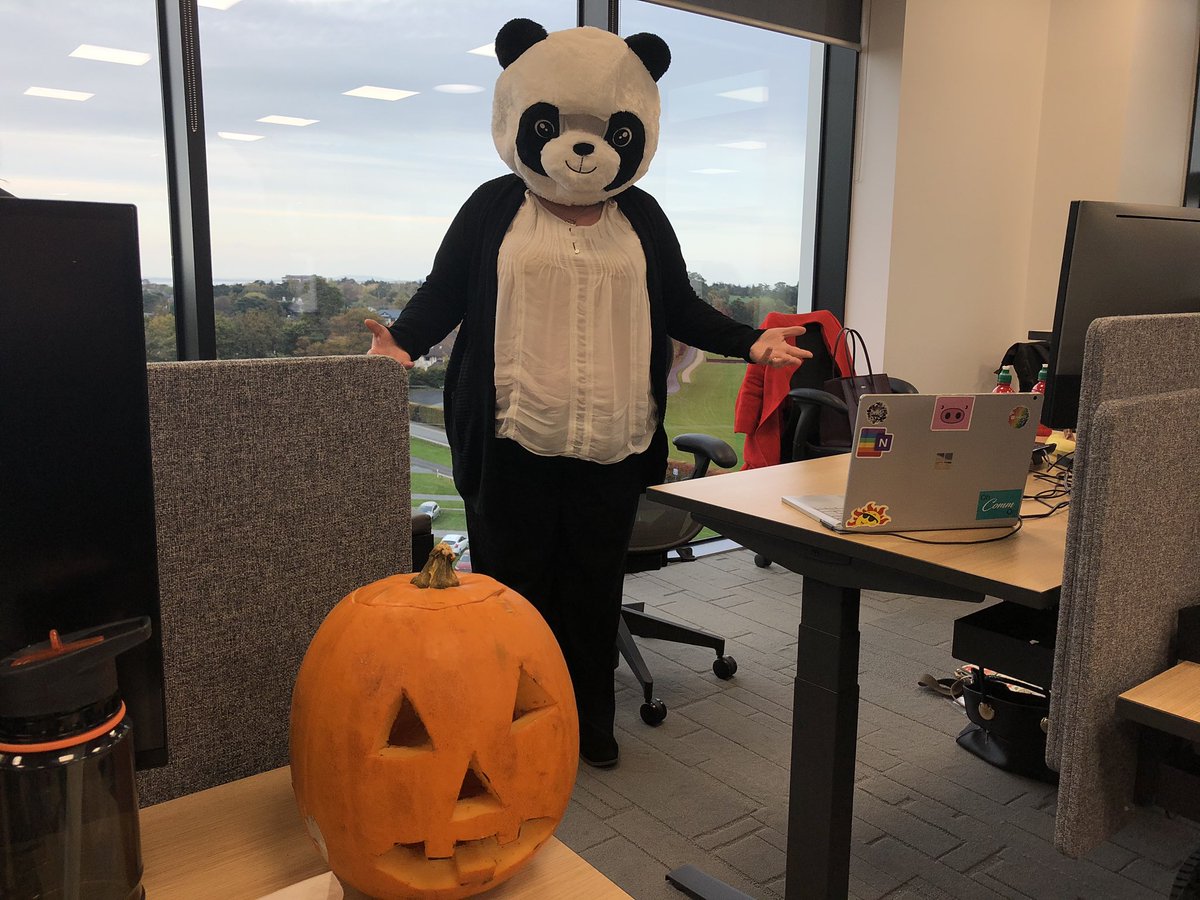 darinasexton's tweet photo. I just looked up from my laptop and got the biggest fright #scarypanda #Halloween #microsoftlife #microaoftlifeireland https://t.co/JkslgTMVK2