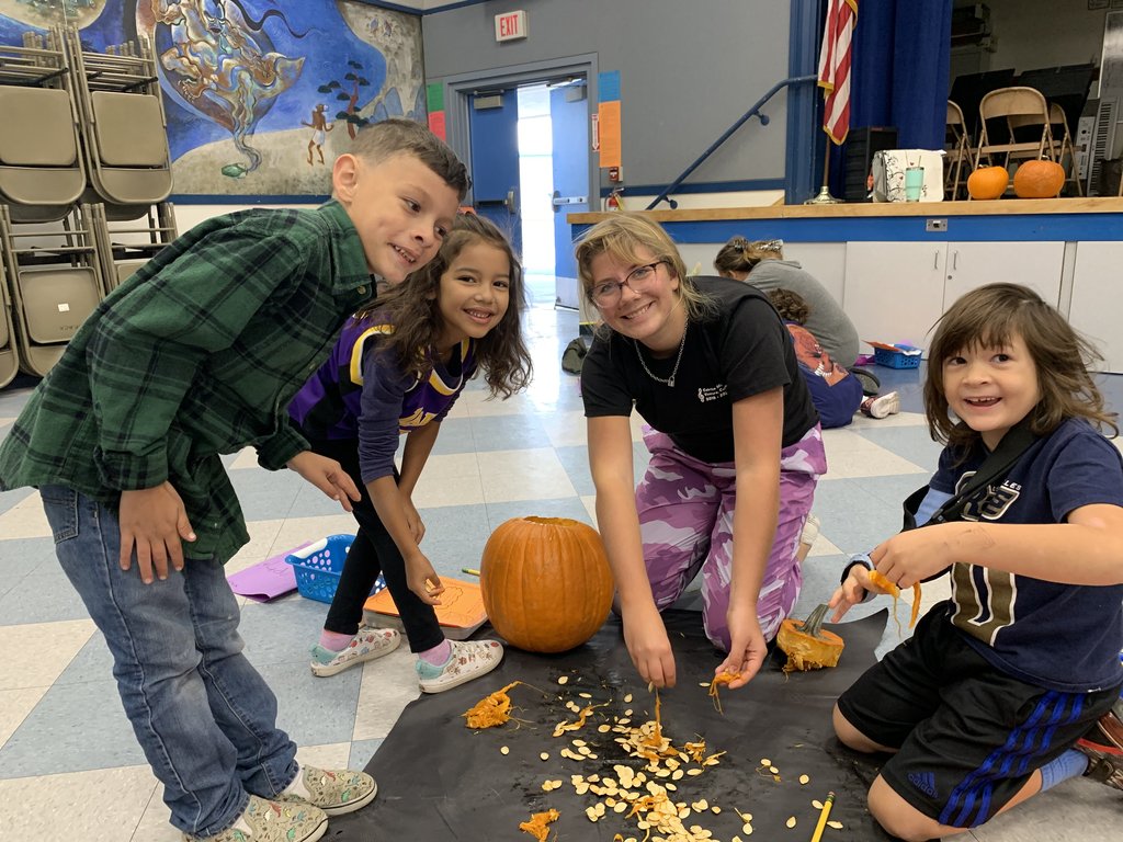 Hollywood Bch School tweet media