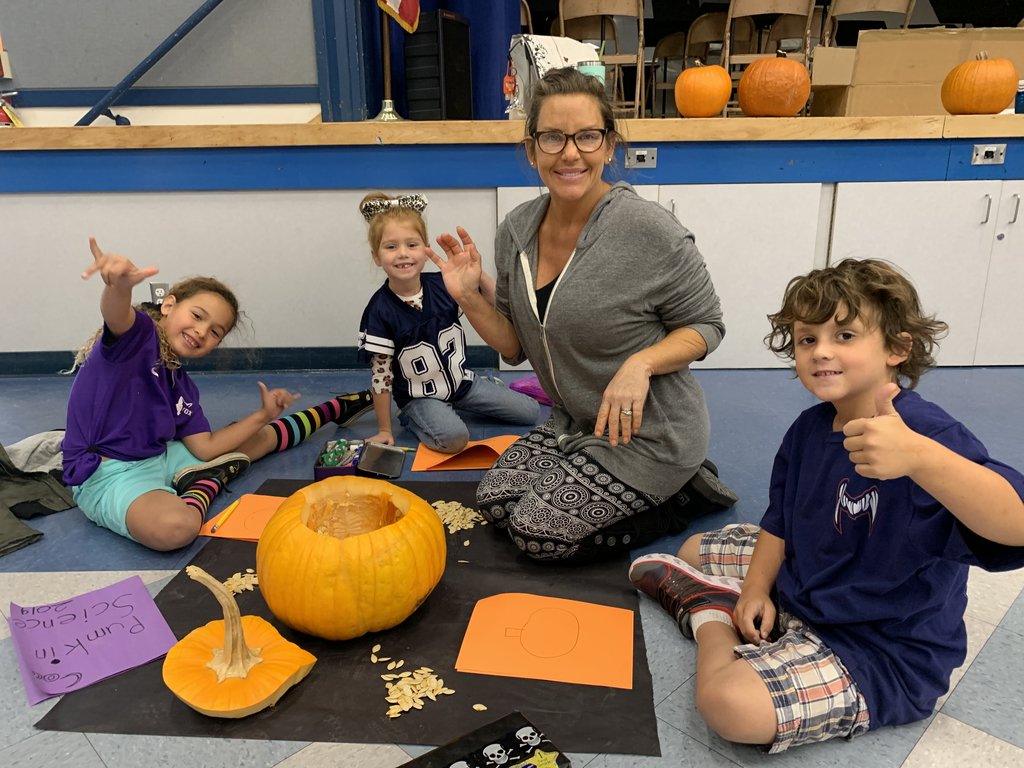 Hollywood Bch School tweet media