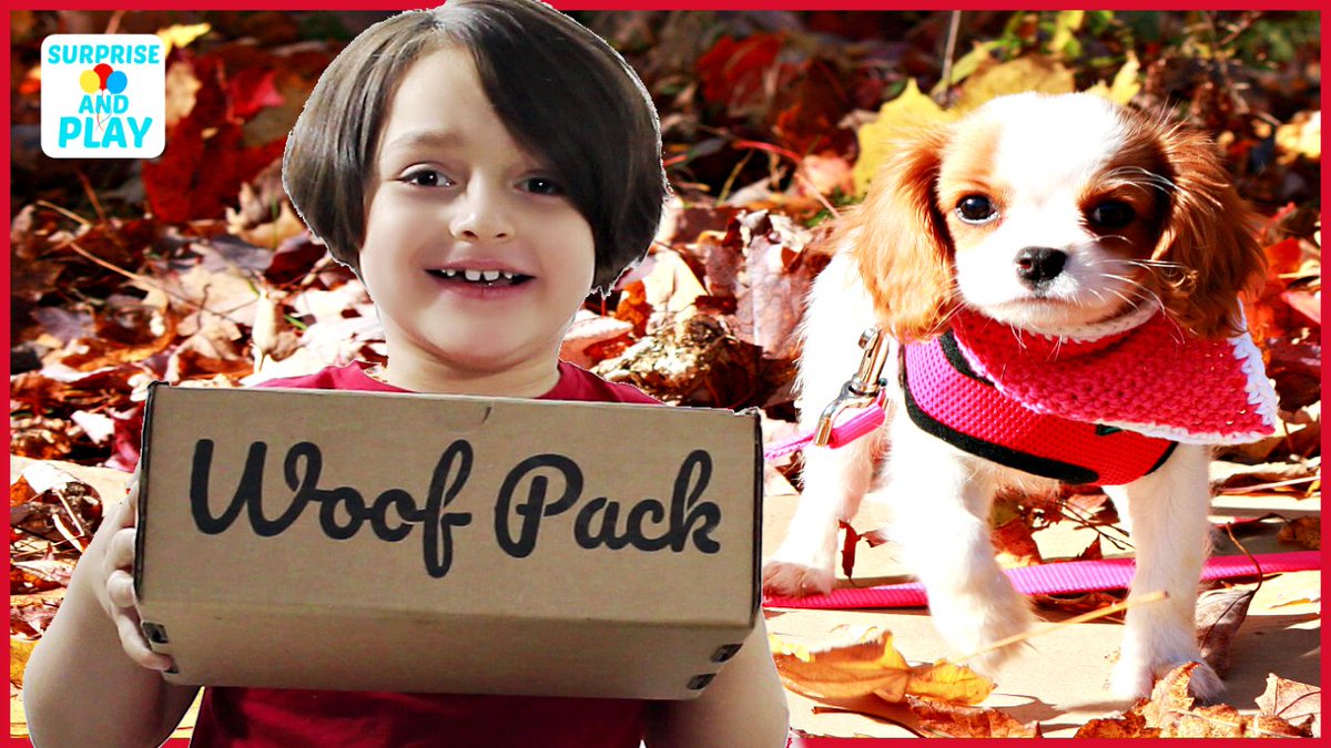 Join us as our puppy opens Woof Pack subscription box for dogs! 🐶 The Halloween themed toys and the natural dog treats were a hit! Visit woofpacks.ca for more info on this awesome subsctition box! 😍

#WoofPack #SubscriptionBox #DogToys

👉 ow.ly/p5lA50wXgEx