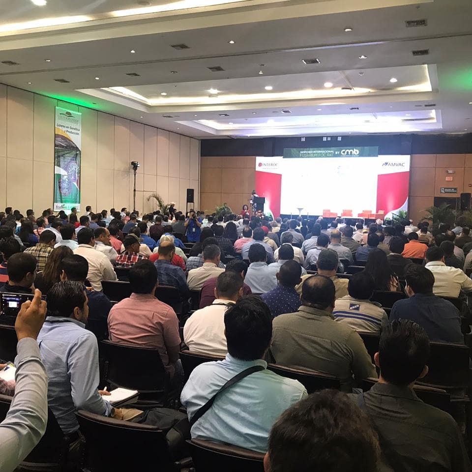 ¡Nos unimos para luchar contra el Fusarium FOC R4T! Queremos agradecer a todos los asistentes y a quienes hicieron este evento posible.
.
¡Los esperamos en Acorbat Miami 2020! Contacto: mparedes@expoplaza.ec