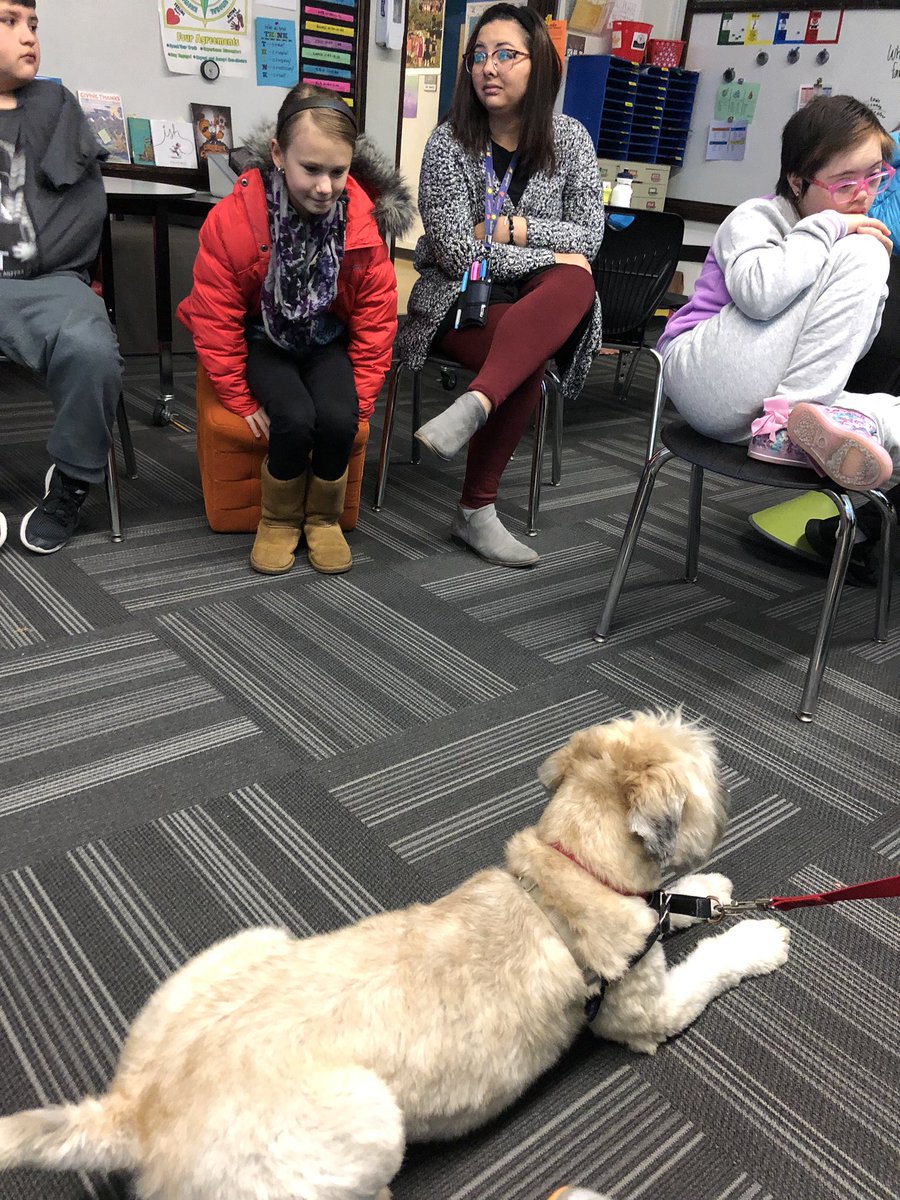 Brandon Daley tweet media