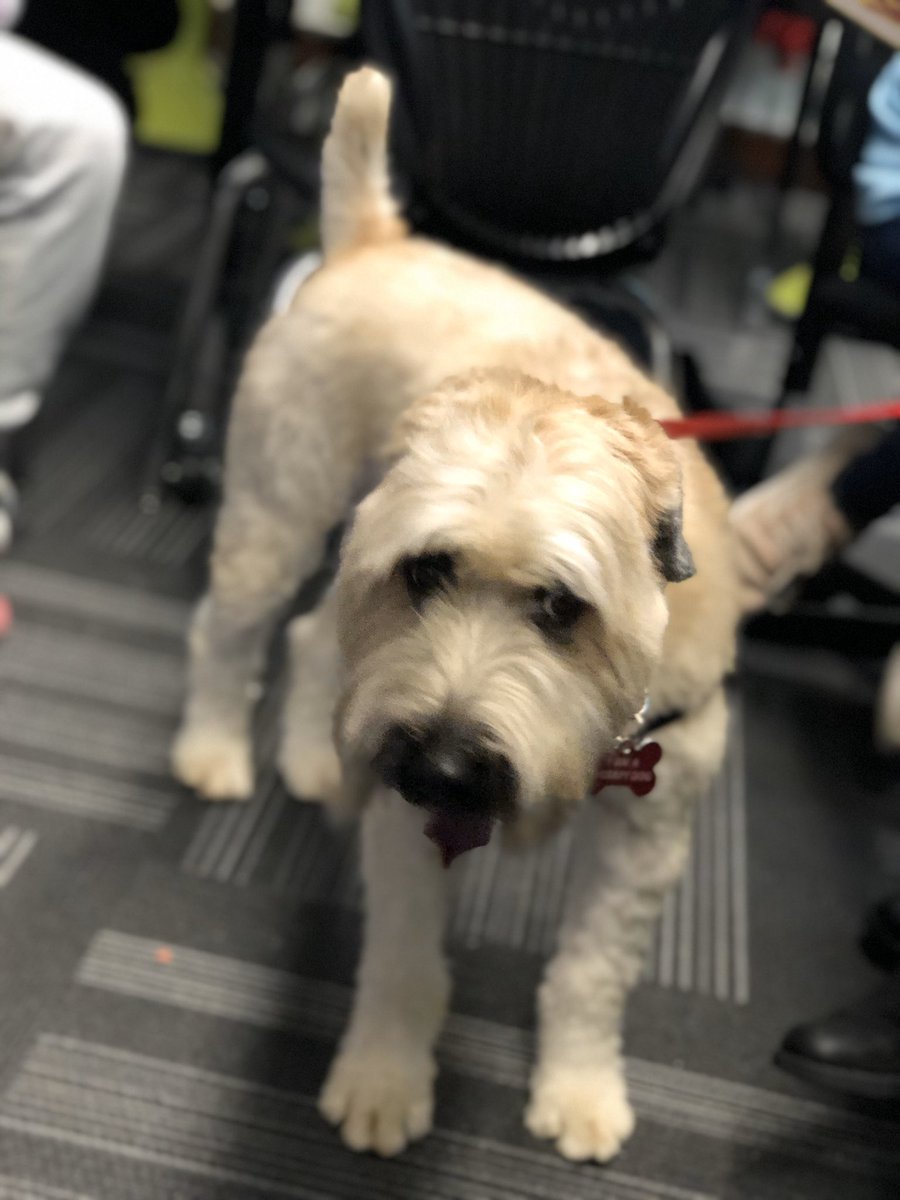 Brandon Daley tweet media