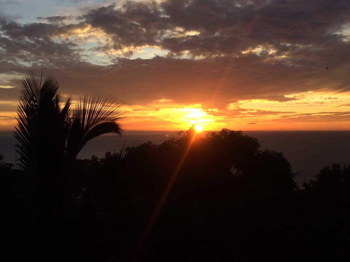 patrickjchccsbt's tweet image. Retrouver la pleine santé ca vous parle?
patrickjchccsbt.systeme.io/c50135ac