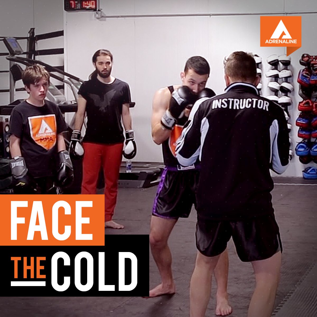 Adrenaline tweet media