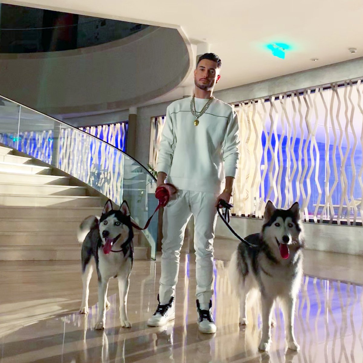 Faydee's tweet photo. Meet #Trika and #Trika ! Leave a 😍 in the comments to show some love to these gorgeous  #Huskies https://t.co/gDKGcrR2oX