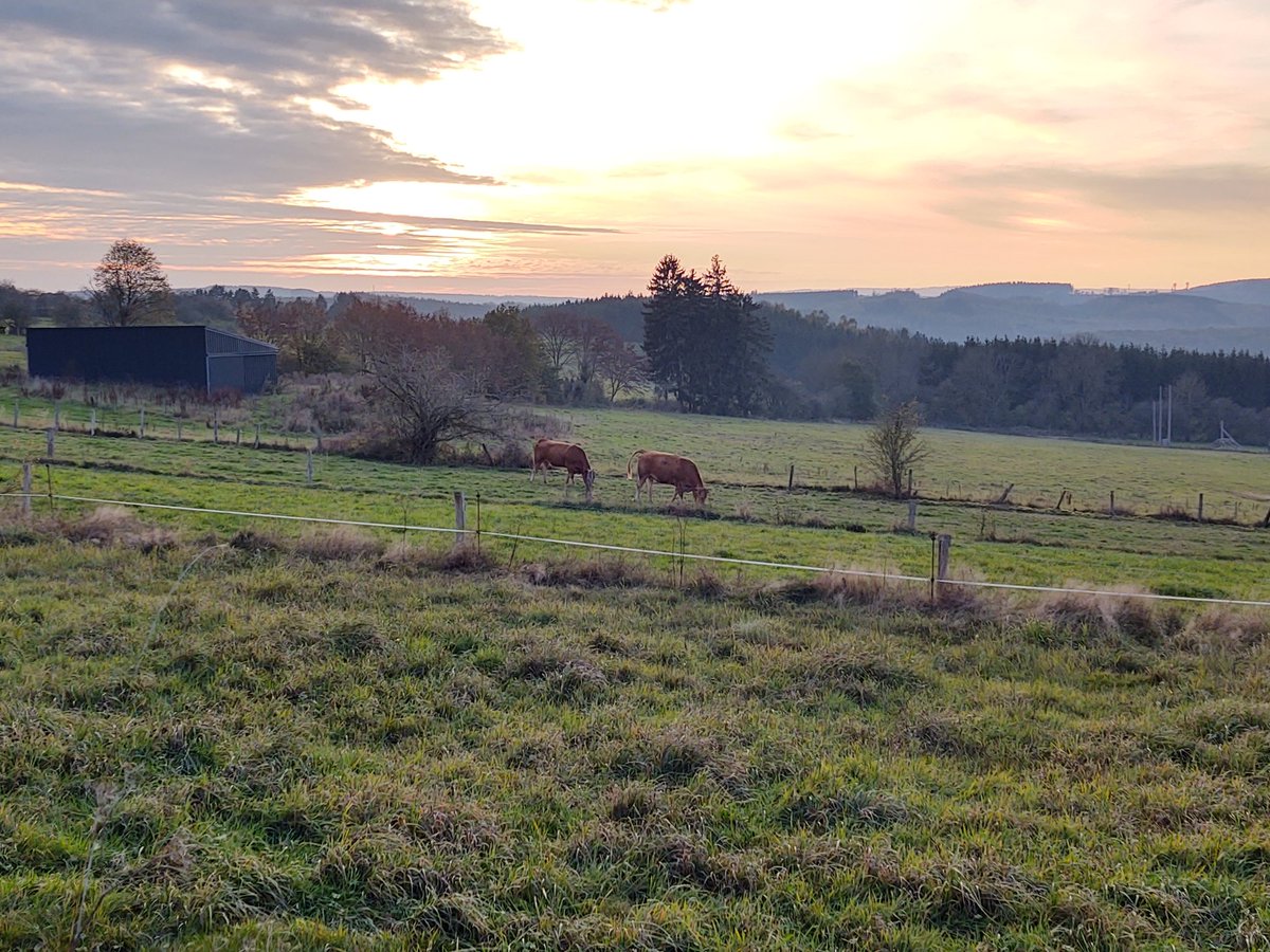 d_soetaert's tweet photo. Houffalize 17u07 #weerfoto #vrtweer https://t.co/NUxSTgIv2c