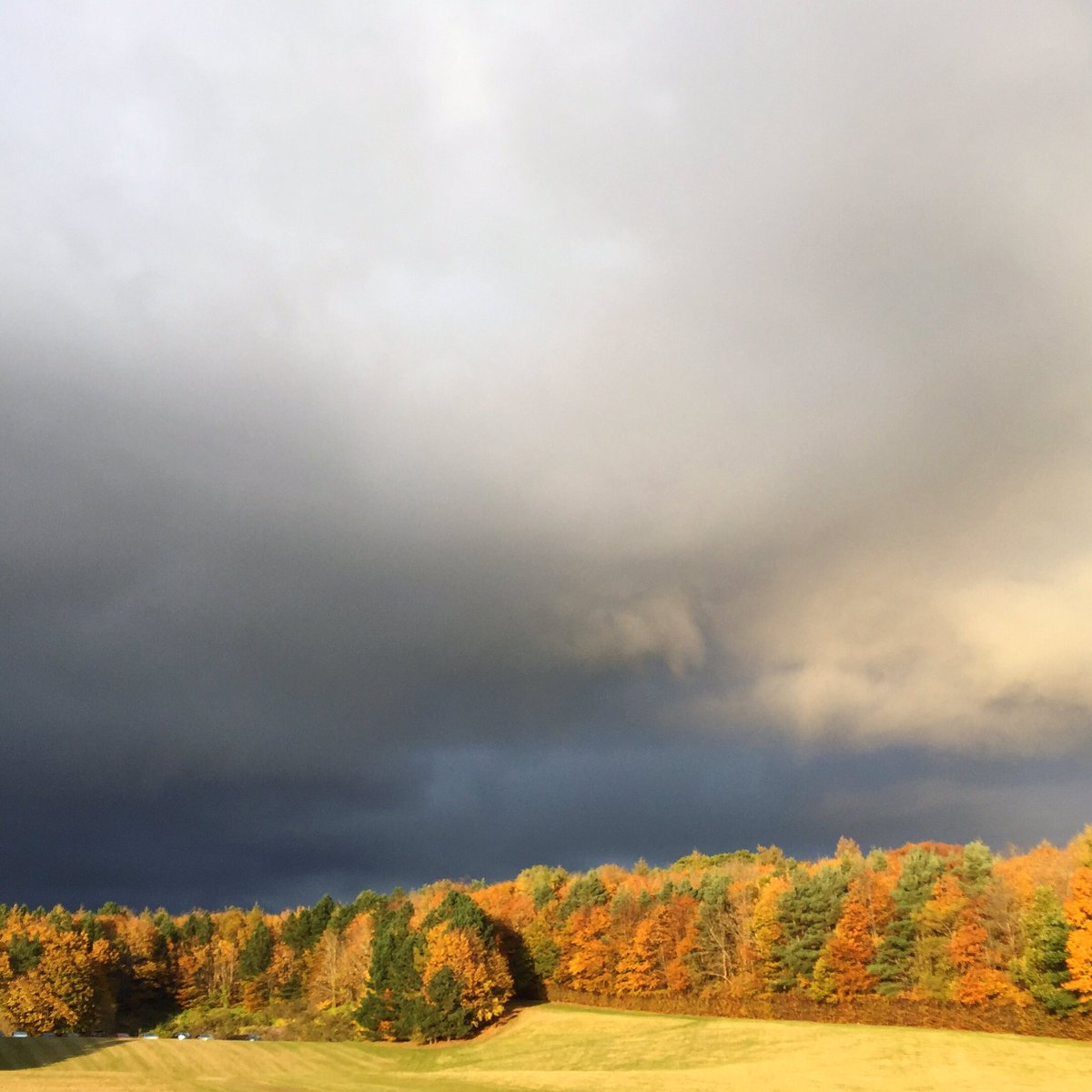 Autumn 🧡love grey/blue with orange highlights 💙 #autumn #autumnvibes #scotland #october #halloween #clouds #grey #greysky #leaves #autumnleaves #autumninscotland #colour #colourinspo #inspiredbynature #autumncolours #autumncolors #autumncolour #orange #grey #coloursofautumn