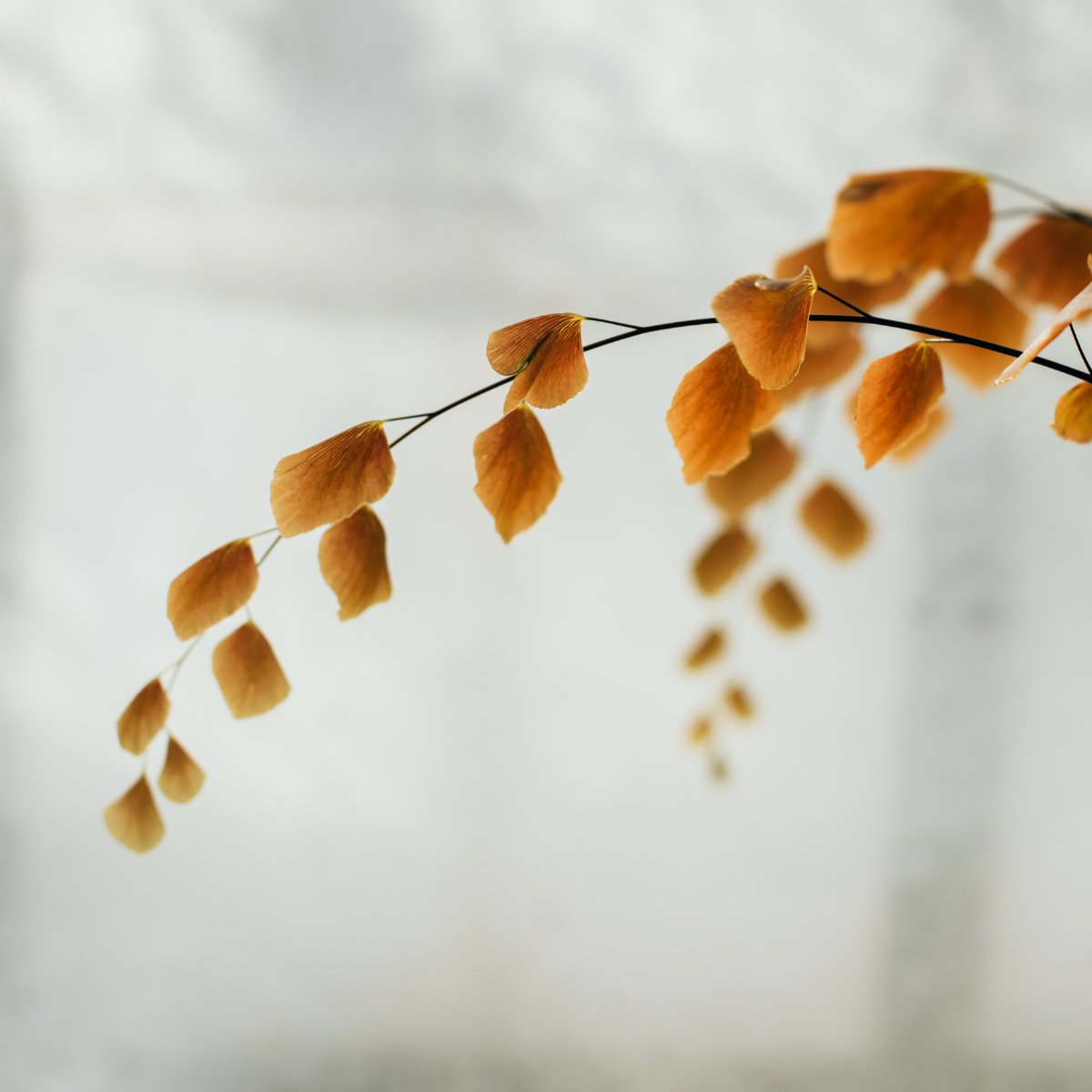 MythynOfficial's tweet photo. Colder days on the horizon - yet all I see are the beautiful colours all around us. Are you making the most of nature's beautiful displays? ⁠
⁠
No tricks - nature has the best colours, that's why our new soaps don't need any synthetic colours to look their best either 🌿 🍊✨⁠ https://t.co/bVsFa5TIr8