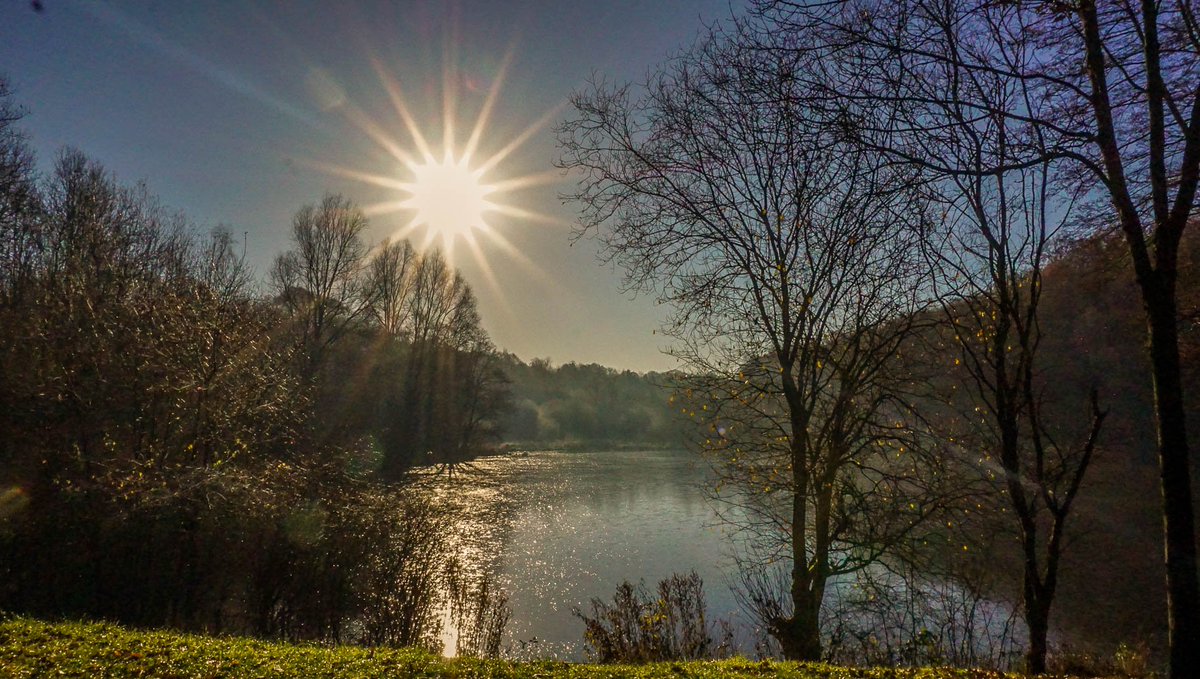 Cliff Salt tweet media