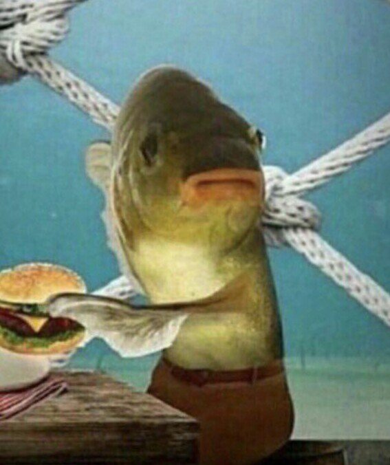adrifissure's tweet photo. Moi quand je vais bouffer mon mcdo alors que j'aurais pu l'avoir gratuit si @Gallonse3  s'était pas servi de mes points https://t.co/dg5ZA03sA1