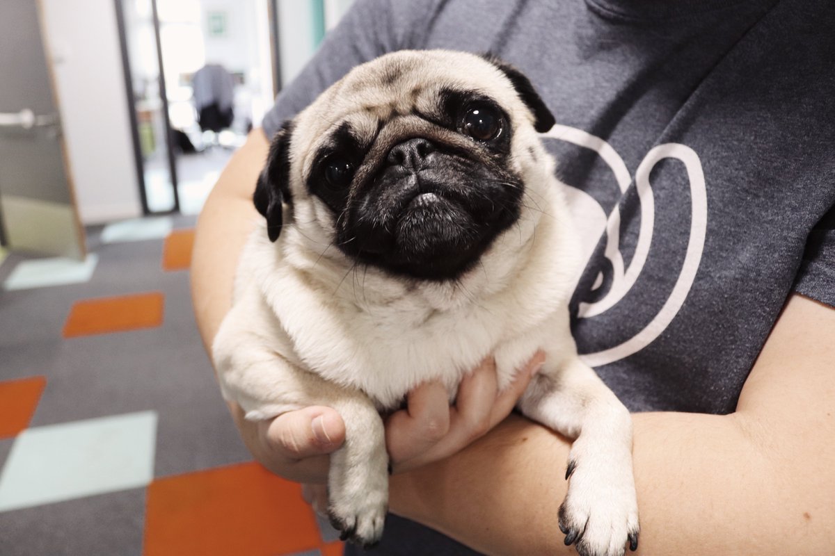 PublicitySeeker's tweet image. We put our Digital Teesside hats on today and popped out around Boho One and Five to talk to digital companies about their latest work. It’s all going on!

#DigitalTeesside #Middlesbrough #TheDigitalCity #BohoZone #PR #PublicRelations #Digital #Business