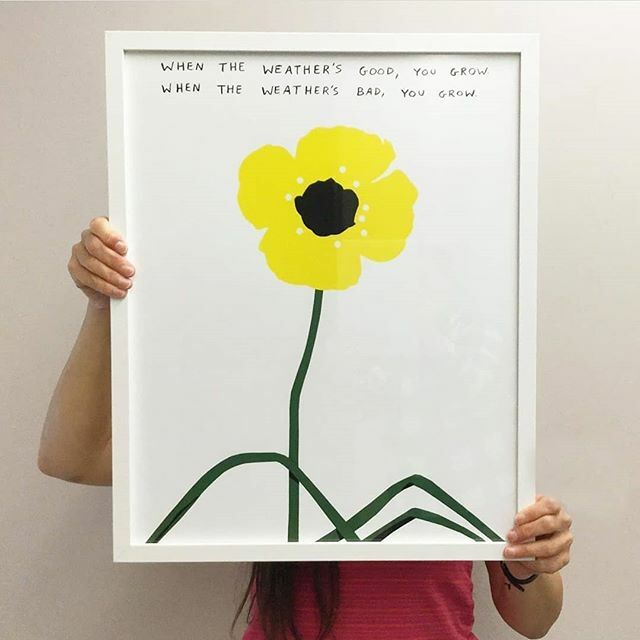 Available at Martha Street Studio until November 15. View "When the weather's good..." on our webstore (link in bio) or in person!

#Repost @m_d_n_f_
• • • • •
When the weather’s good...16x20” signed/numbered screenprint. Available for one month … ift.tt/2BScIub