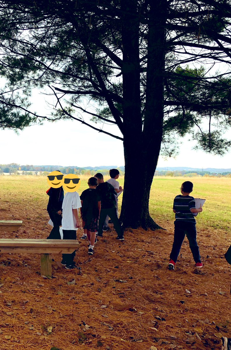 Such a gorgeous view today at NHES as second graders made observations and asked divergent questions about a tree community! We ♥️ our outdoor classroom! @HCPSchools #HCPSproud  @HCPSlearns