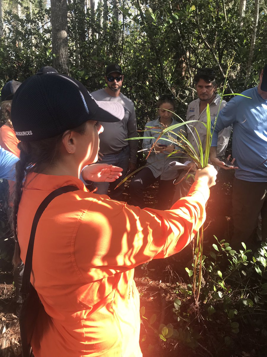 Treasure Coast-CISMA tweet media