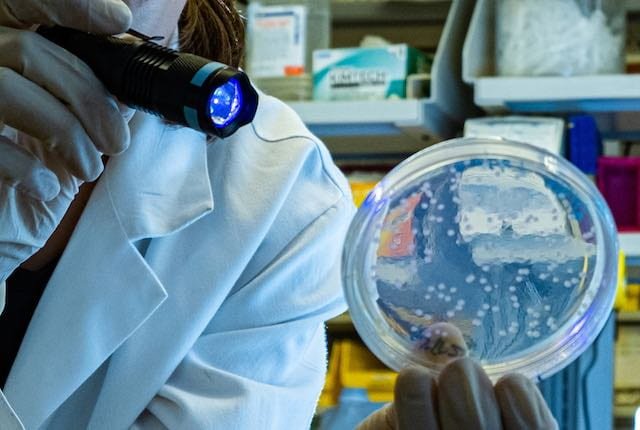 Bioengineerin13's tweet photo. Bacteria Made to Mimic Cells, Form Communities
for more updates visit 
https://t.co/IwS6q1Crw0
for research in bio engineering updates visit 
https://t.co/OQxbdNTj8n https://t.co/KOTuVXmLMI