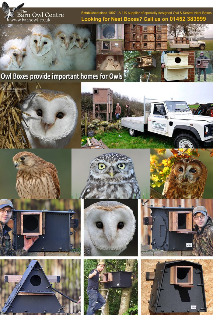 Exciting News!
We've done it! We have now become fully mobile, which means we can go on a mobile tour to meet the wider community. #mobileeducation #Owlsontour #Owlboxes #fundraising #owlconservation #photography #events #shows #projectsupport #facetofacecommunication #happyfaces