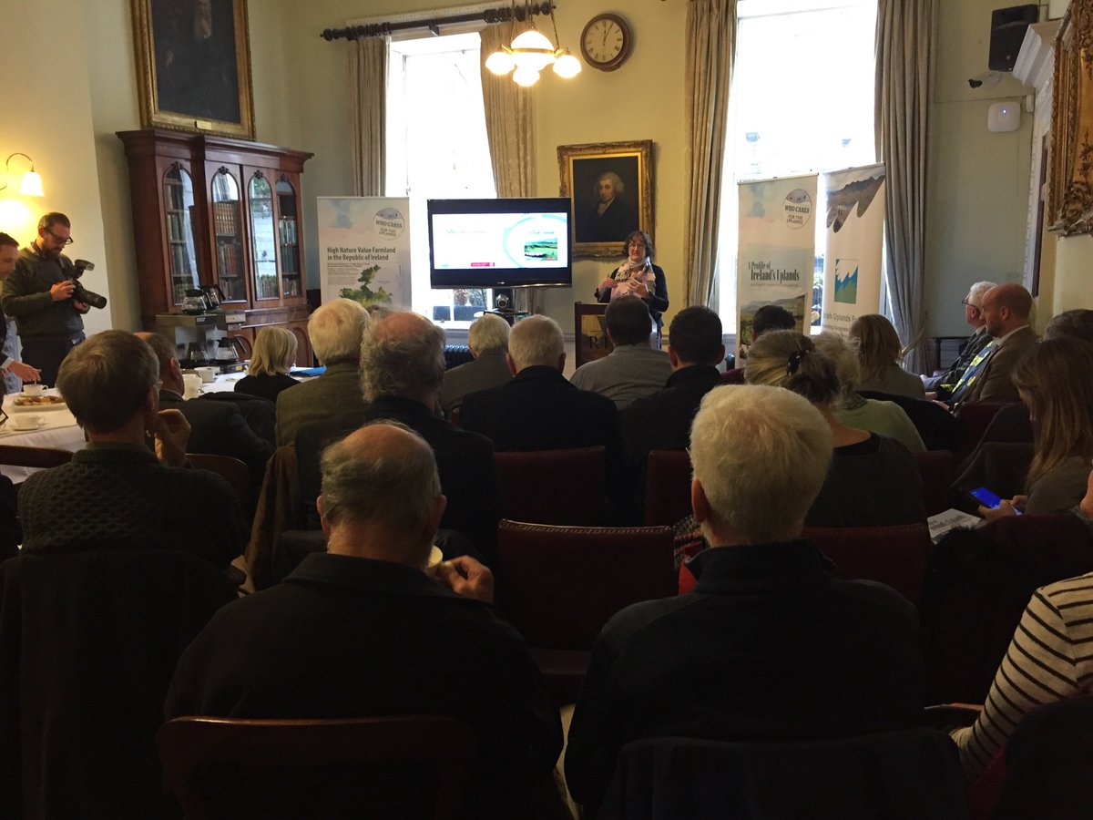 Mary Mulvey tweet media