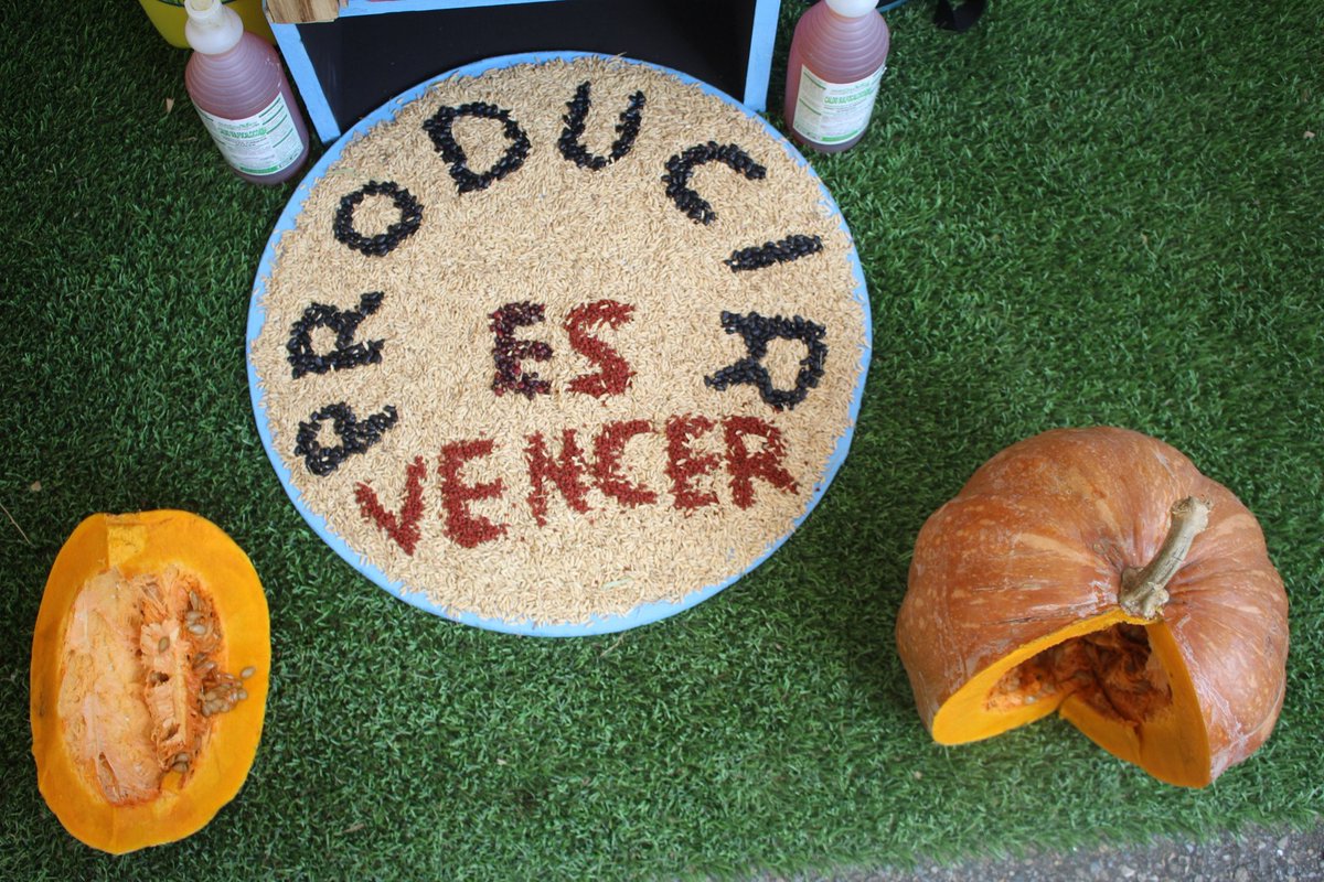 mippci_ven's tweet photo. #30Oct | 📣 ¡ETIQUETA DEL DÍA! ⏩ #PuebloProductorDePaz

Pdte @NicolasMaduro: "El deber es  que nos unamos todo el país, más allá de las diferencias políticas, para producir, trabajar, hacer a nuestra Venezuela bella y resolver los problemas sólo trabajando”. ¡Producir es Vencer! https://t.co/5Zh9clTZ24