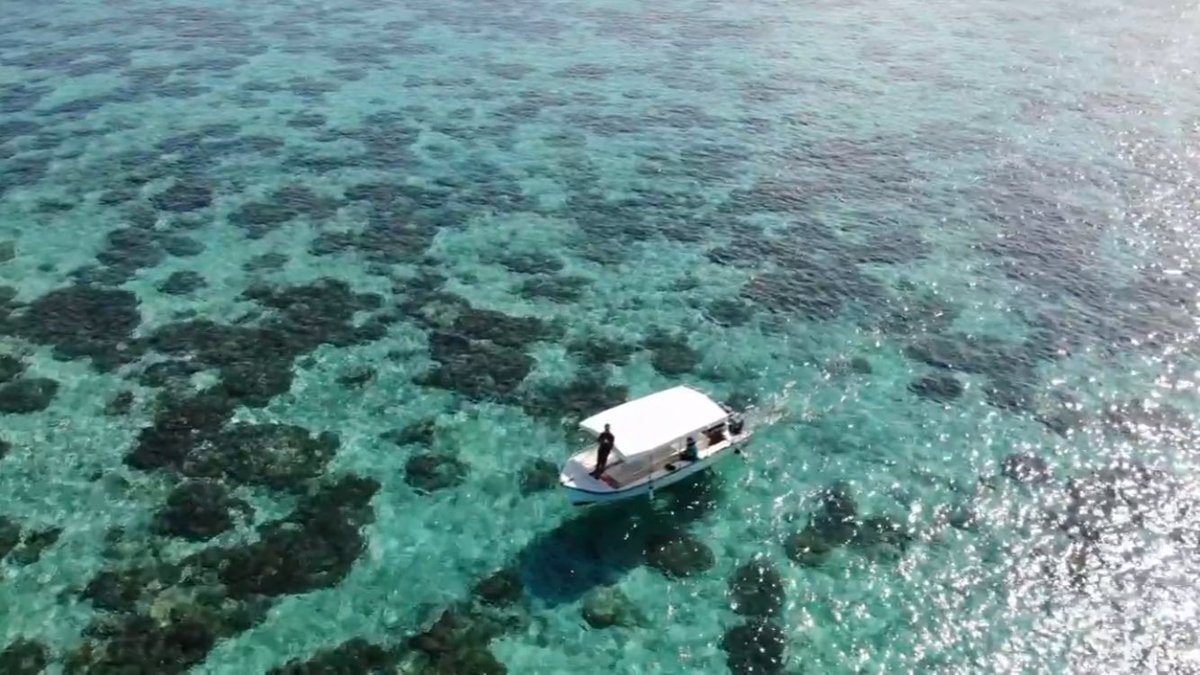 gnfr86Apzz's tweet photo. Bridging the digital gap in🇲🇺!
Granting access to cutting edge techs and data, interchanging innovative ideas to address #Biodiversity preservation!
#Aquaculture  #UAV applications
#VirtualReality #skilling and more...
This is what #UNTILMauritius is up to! #SDGs @UNTILabs @UN🇺🇳 https://t.co/bA5NMqtKD5