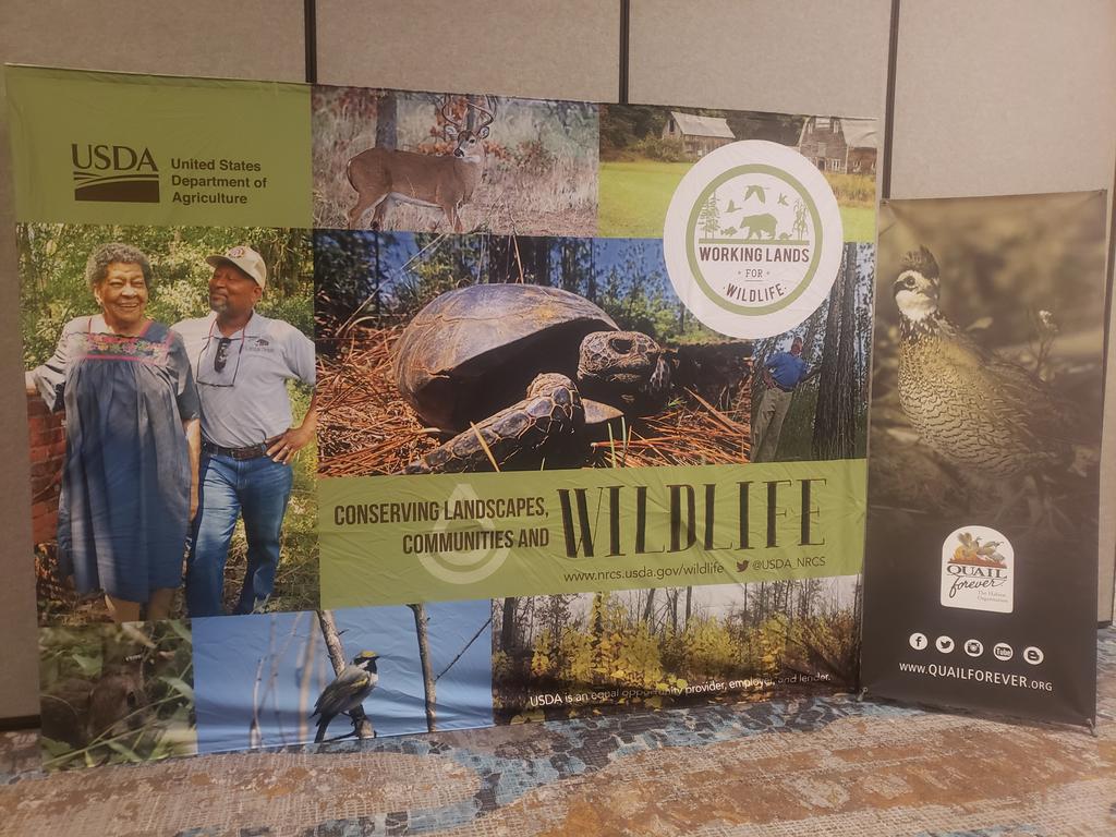 JessicaLMcGuire's tweet photo. Excited to be presenting at the Longleaf Partnership Council meeting today! #SEAFWA #Longleaf #quailforever #workinglandsforwildlife https://t.co/OLj5U5gjji