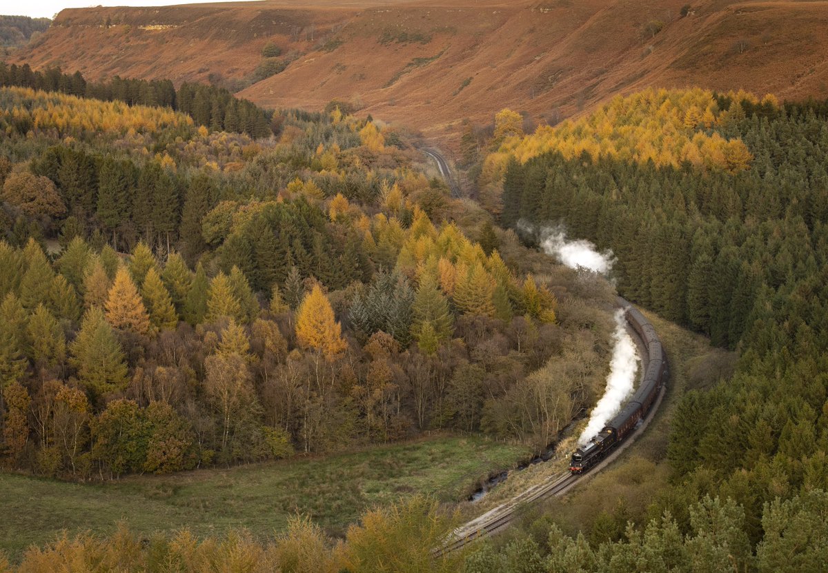Some beautiful Autumn colours out on the North Yorkshire Moors