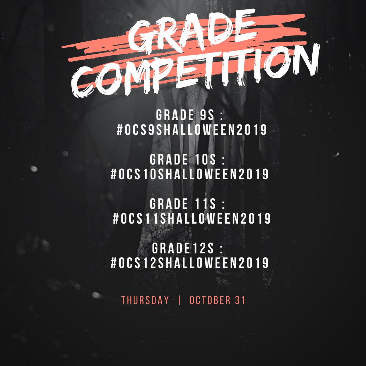 Senator O'Connor tweet media