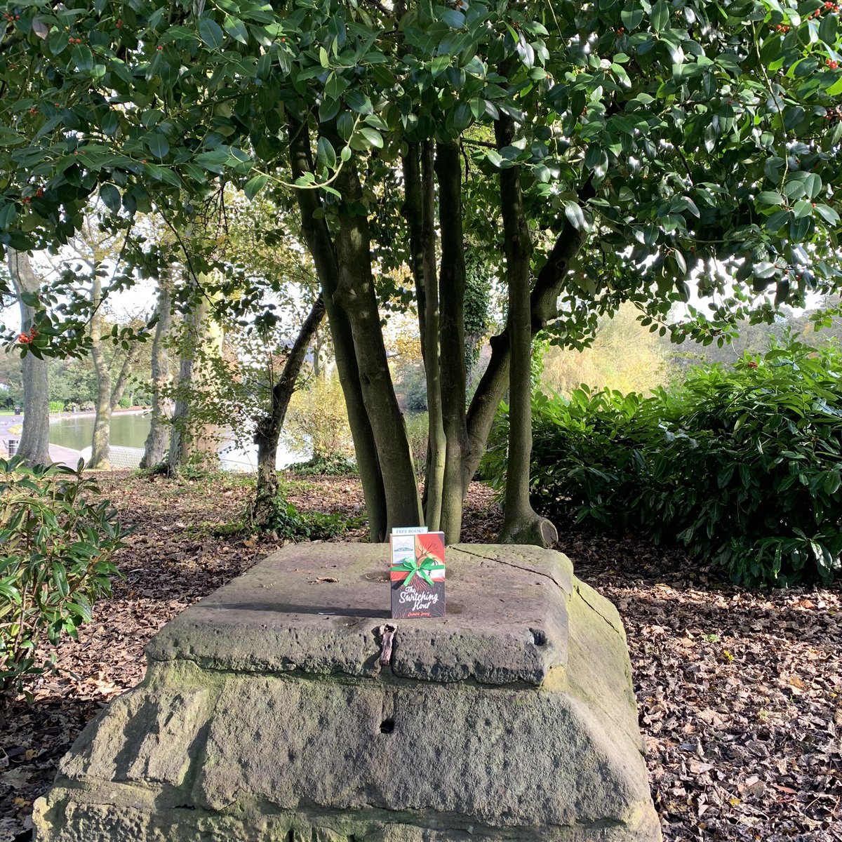 Bookfairies_NE's tweet photo. Find this copy of @scholasticuk The Switching Hour by @damarisyoung in Leazes Park hidden on the rock by the lake ๐ #switchinghour #switchinghourtbf #IBelieveInBookFairies https://t.co/MqoOOfejDB