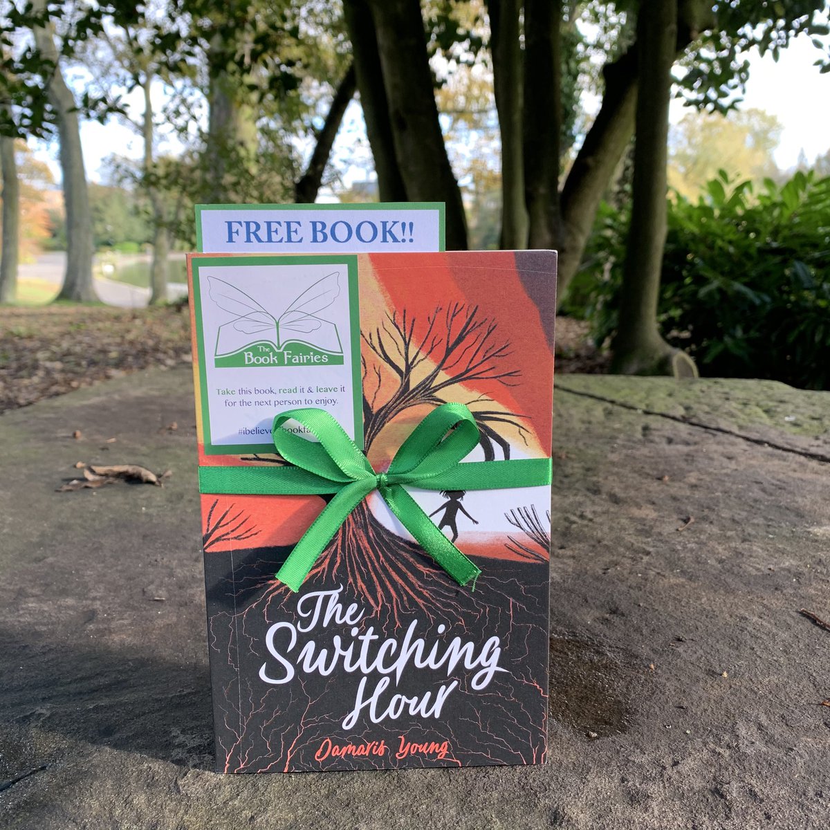 Bookfairies_NE's tweet photo. Find this copy of @scholasticuk The Switching Hour by @damarisyoung in Leazes Park hidden on the rock by the lake ๐ #switchinghour #switchinghourtbf #IBelieveInBookFairies https://t.co/MqoOOfejDB