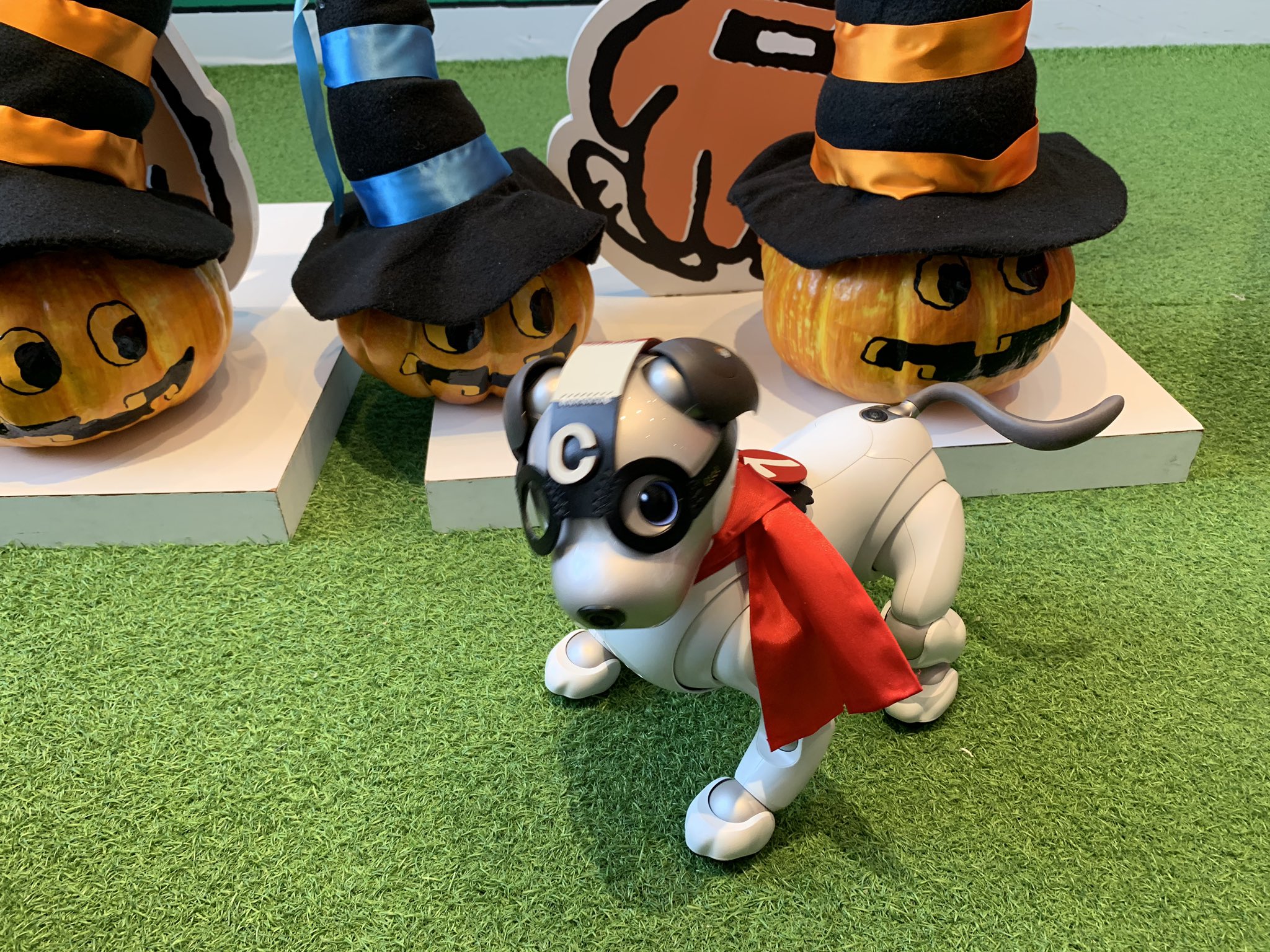 マリンアンドウォークヨコハマ Twitter Search Twitter