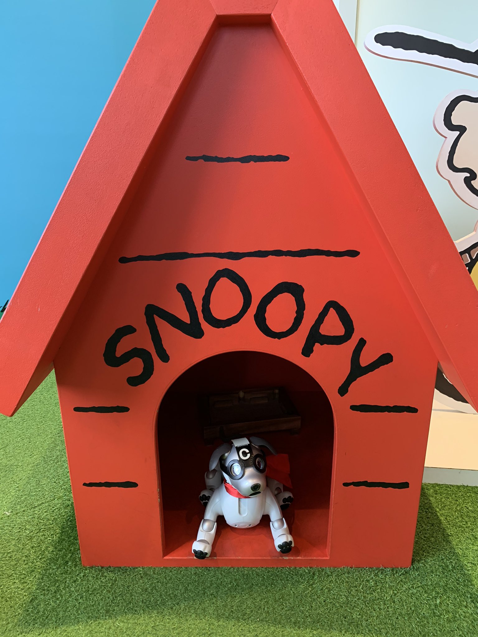 マリンアンドウォークヨコハマ Twitter Search Twitter