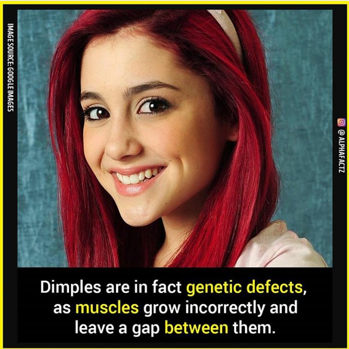 yerimarh_'s tweet photo. #alphafacts https://t.co/OtC3U7BTqw