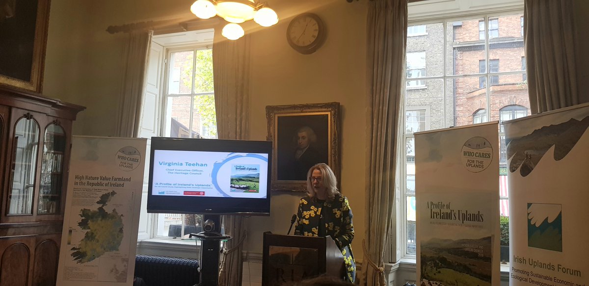 CAP Network Ireland tweet media