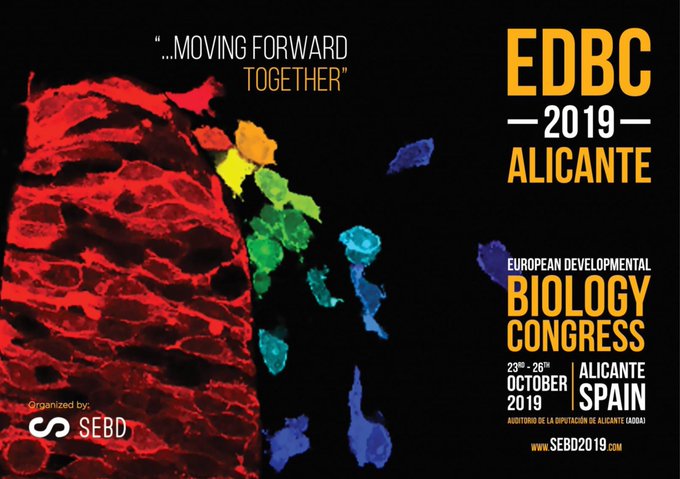 Co_Biologists's tweet photo. It was great to catch up with our preLighters at #EDBC2019 last week. Check out their preList on #preprints presented at the meeting https://t.co/8YC0qCvcmA @preLights https://t.co/9dxLcFuySP