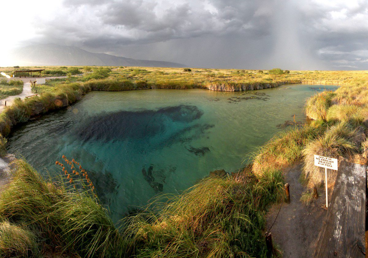 Gobierno de Coahuila tweet media