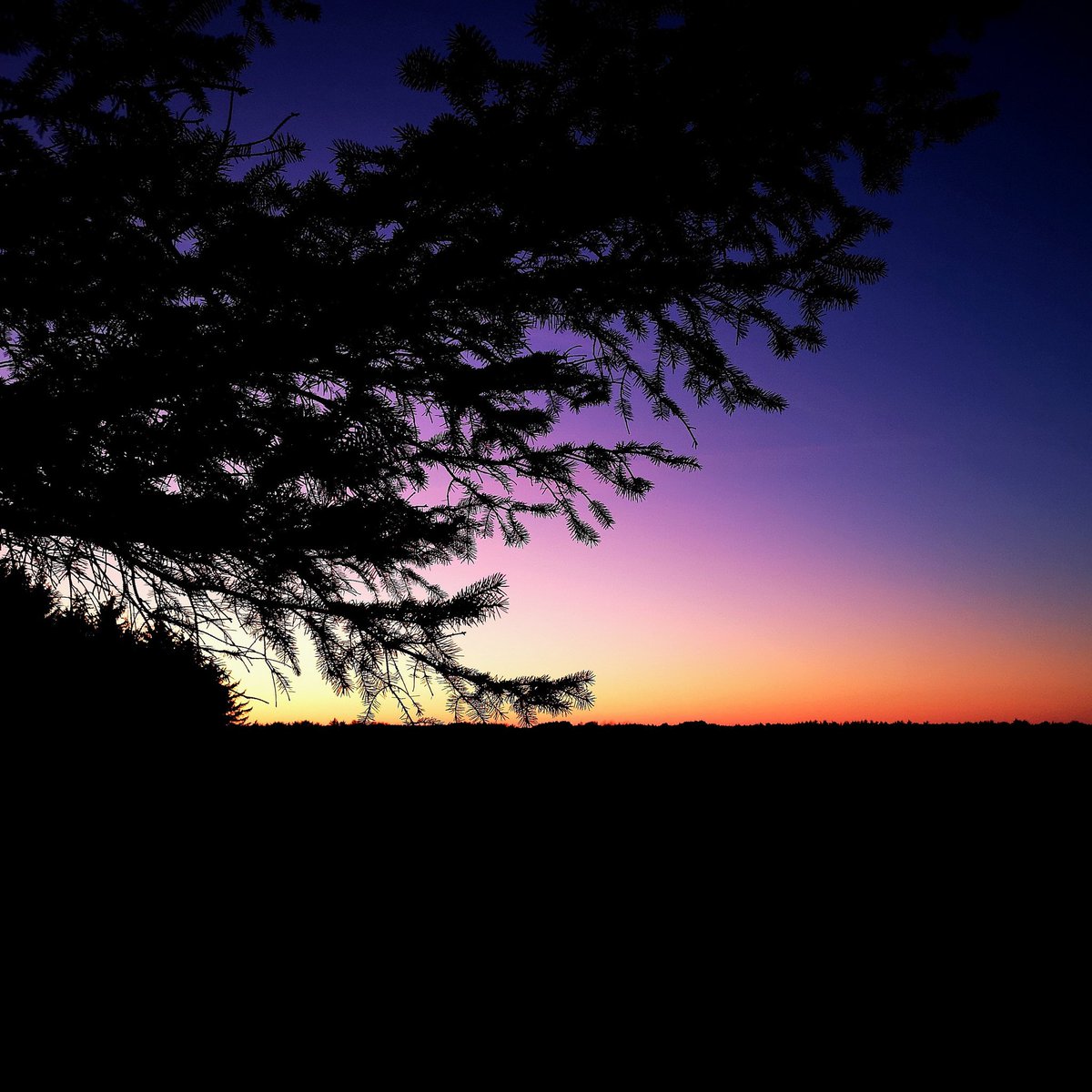 fozzi_dk's tweet photo. Sunset, Denmark 29-10-2019 https://t.co/kdnWEjluCF