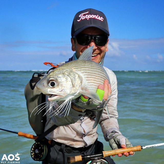 aosfishing's tweet photo. Threadfin Mullet from Farquhar Atoll @flycastaway Seychelles 😎🐟🇸🇨#threadfin #saltlife #seychelles #fliegenfischen #flytying #angeln #aosfishing #fishingmakesyouhappy #fishing #fischen #flyfishing #fluefiske #fluefiskeri #perhokalastus #vliegvissen #p… https://t.co/FovomYWD5k https://t.co/JvRlSm3ndh